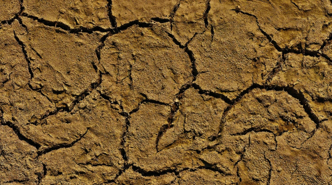 Il Difficile Rapporto Tra Cambiamento Climatico E Agricoltura